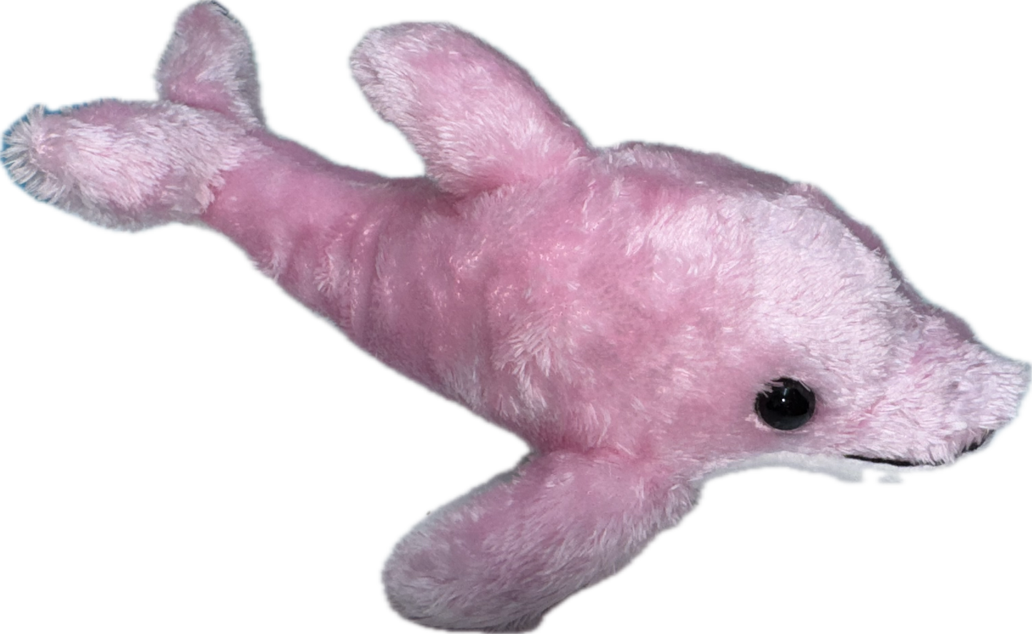 Scoopz Dolphin