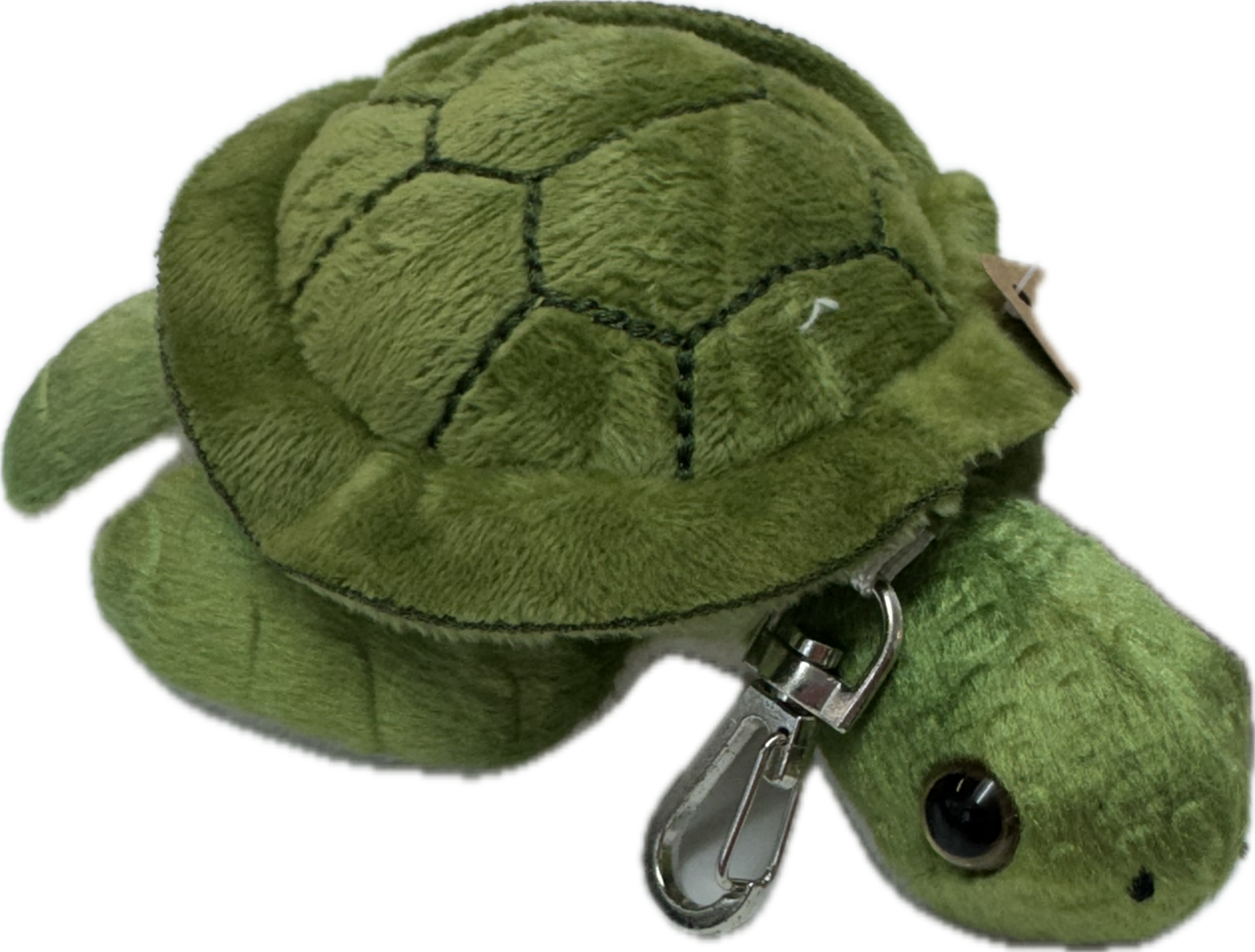 BPK turtle