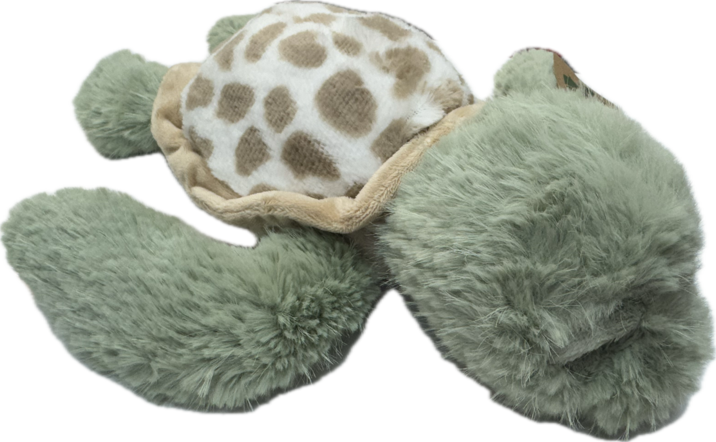 Small Fuzzle Turtle