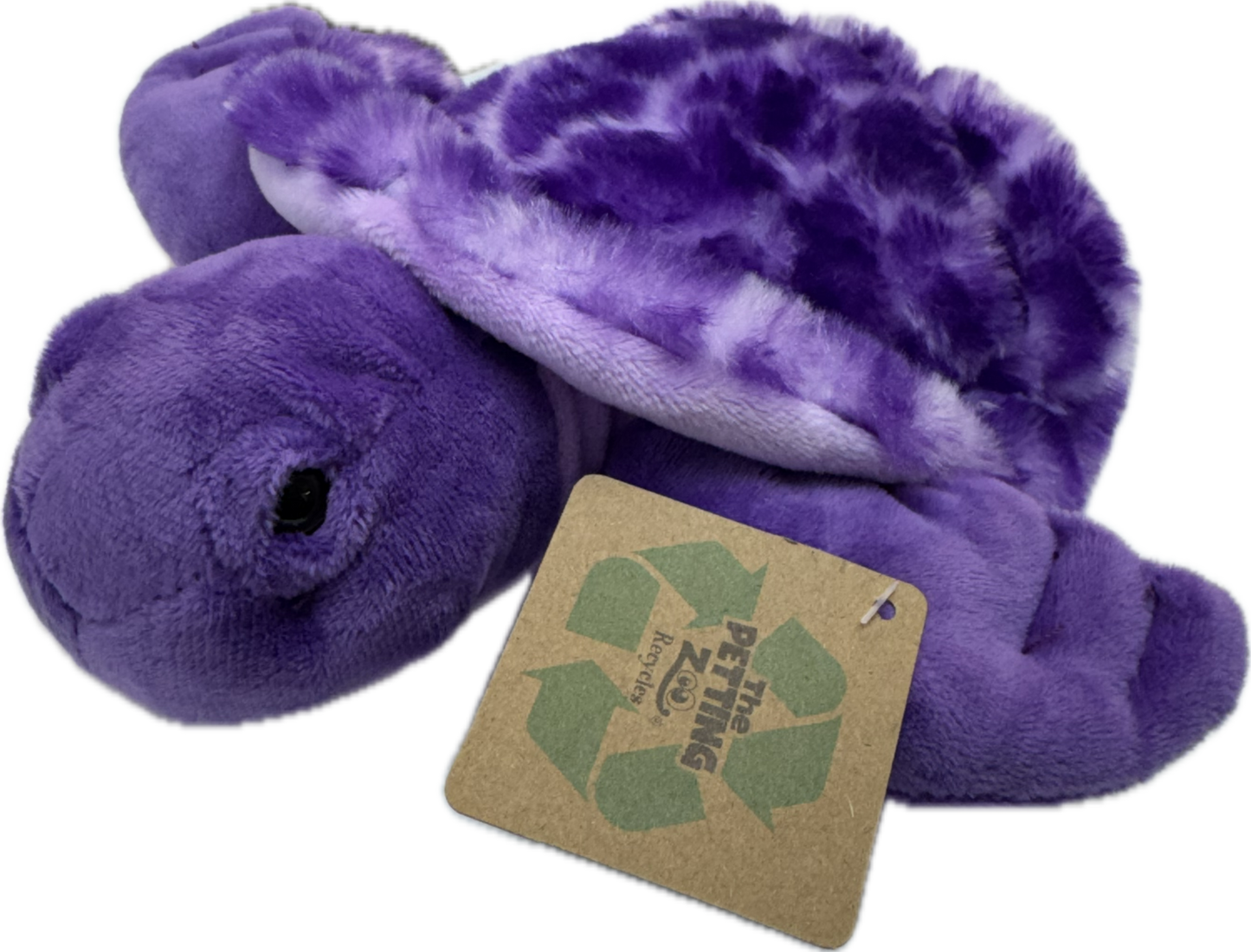 Scoopz Sea Turtle