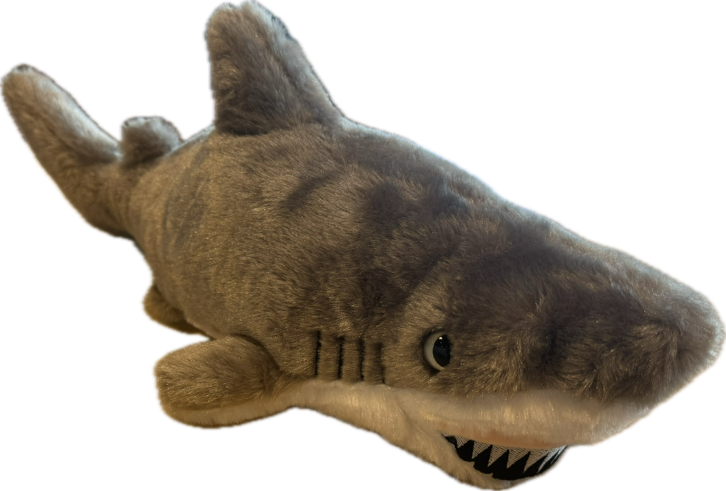Great White Shark
