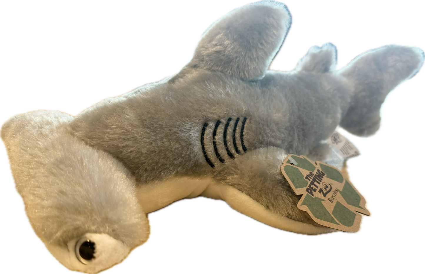 Hammerhead Shark