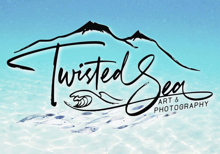 Twisted Sea Designs