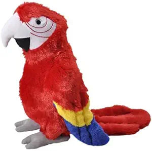 Scarlett Macaw