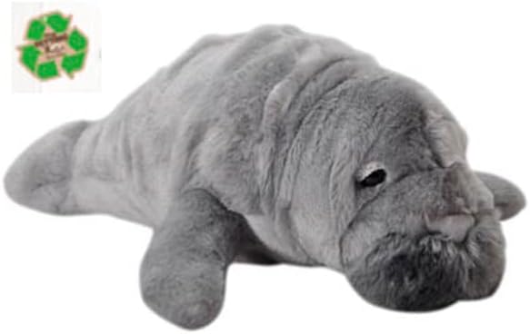 Conservation Manatee