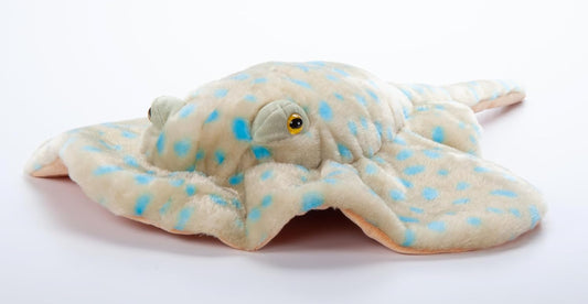 Blue Spotted Ray