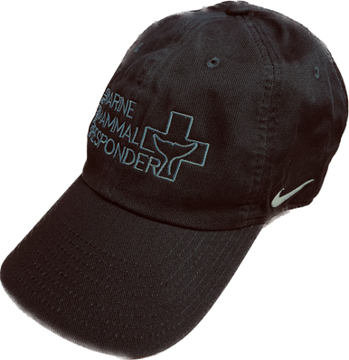 DPMMR Nike Hat