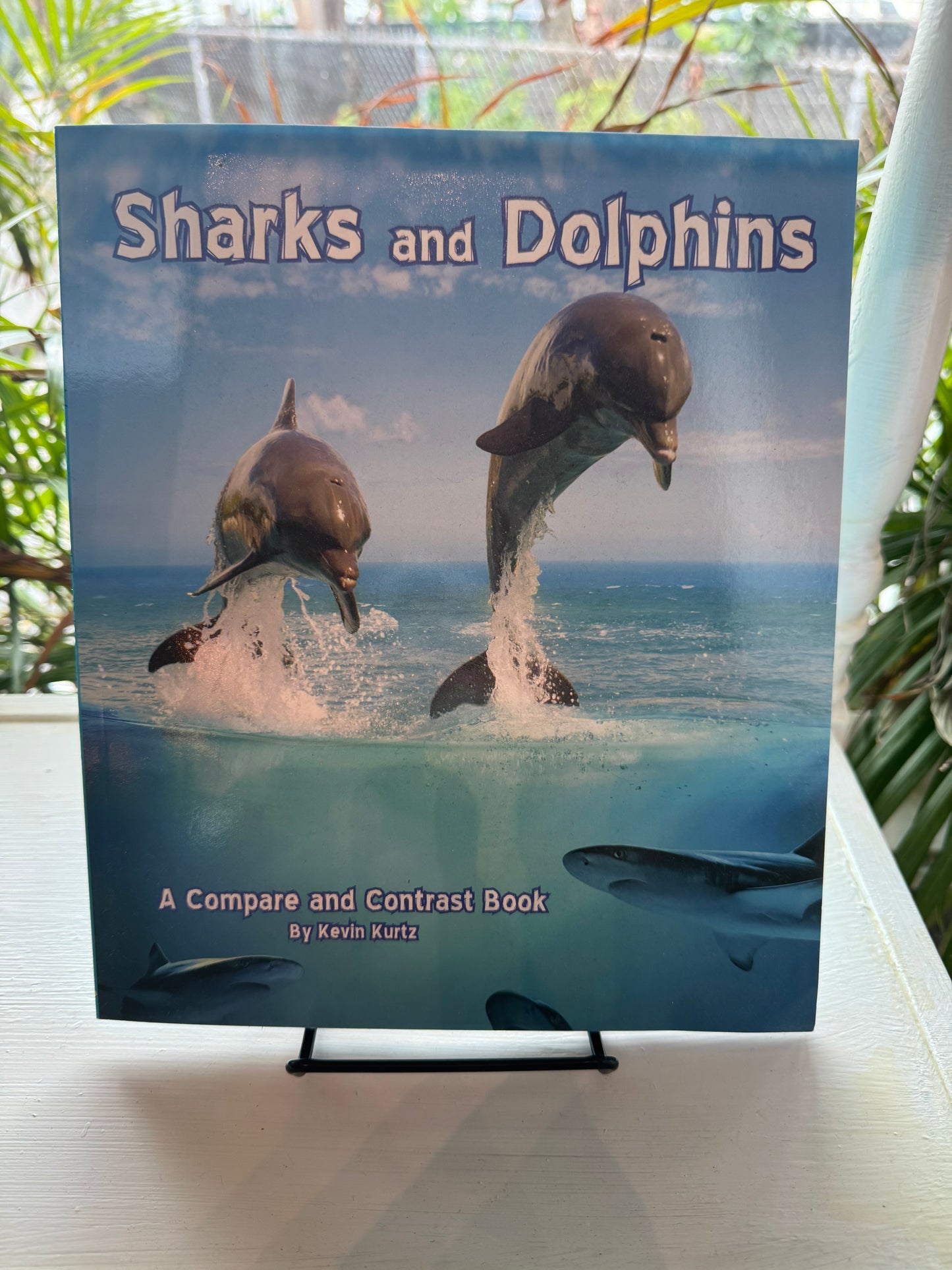 Sharks and Dolphins- Compare/Contrast