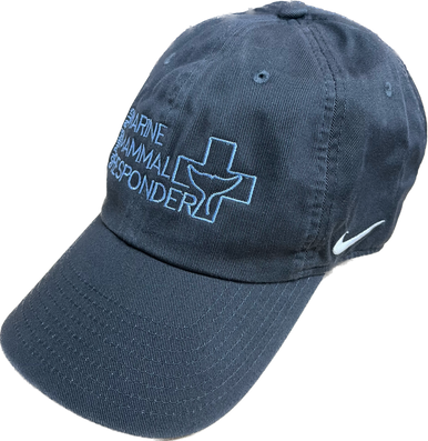 DPMMR Nike Hat