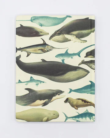 Whales and Seals Hardcover - Dot Grid Notebook