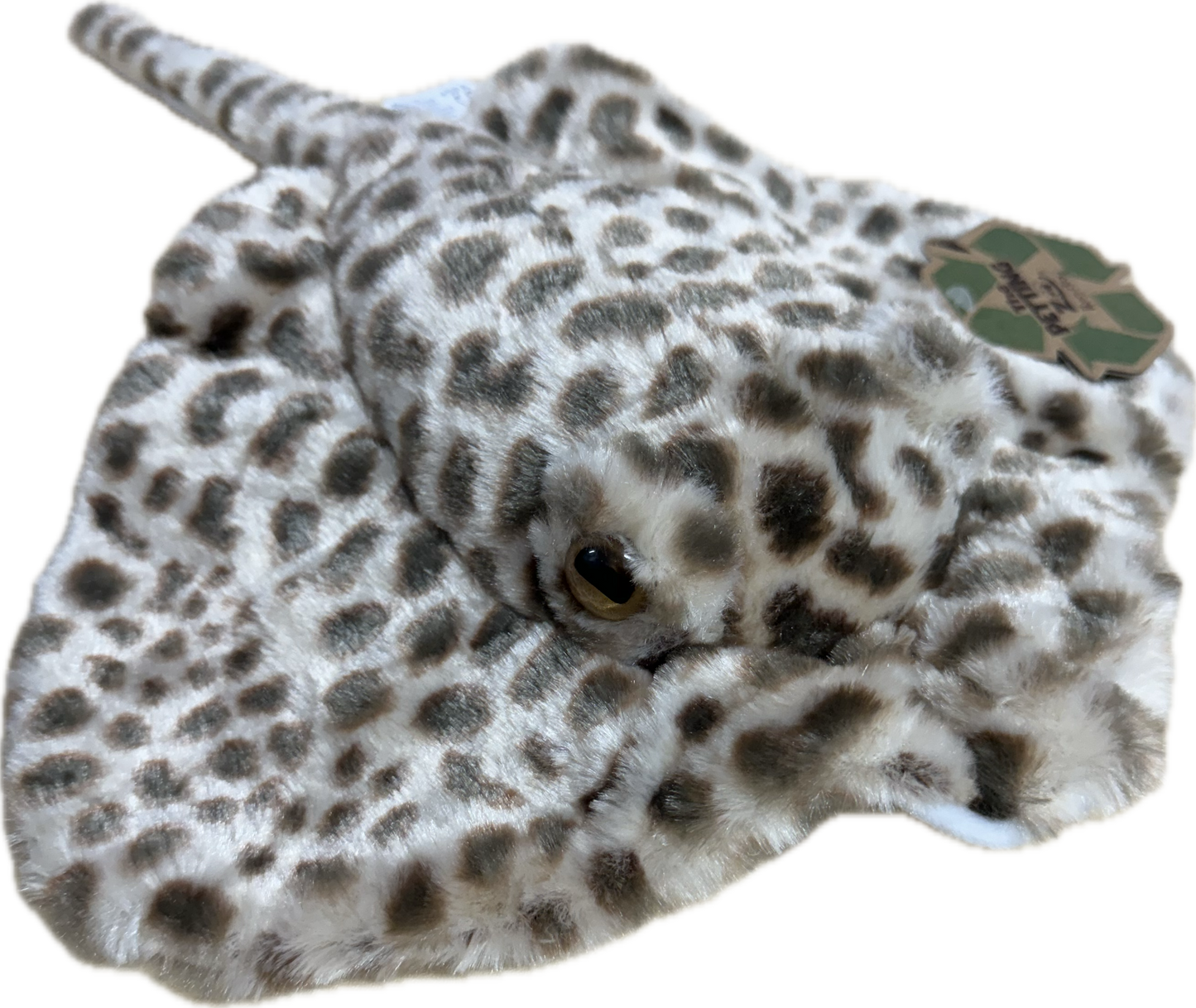 Leopard Ray