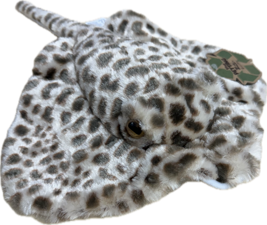 Leopard Ray