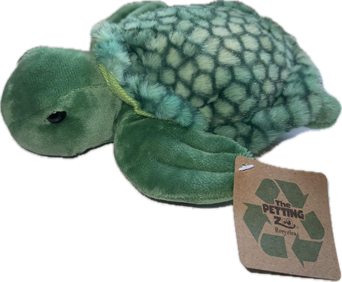 Scoopz Sea Turtle